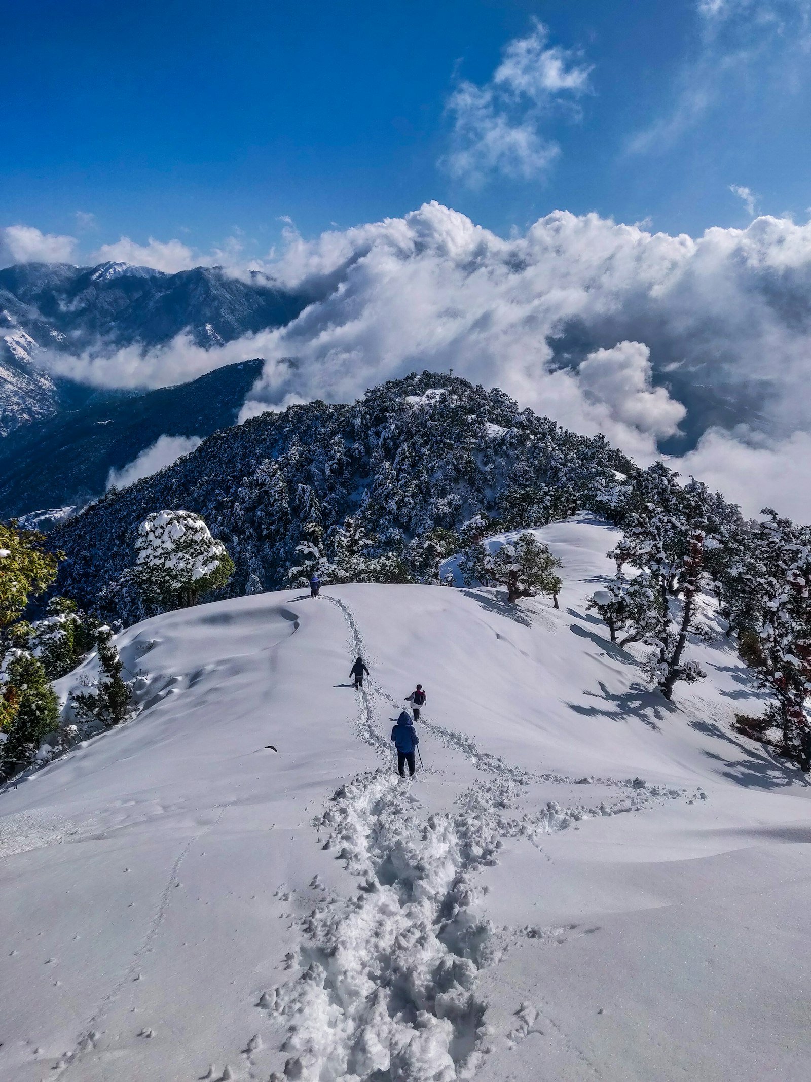 Manali holiday destination