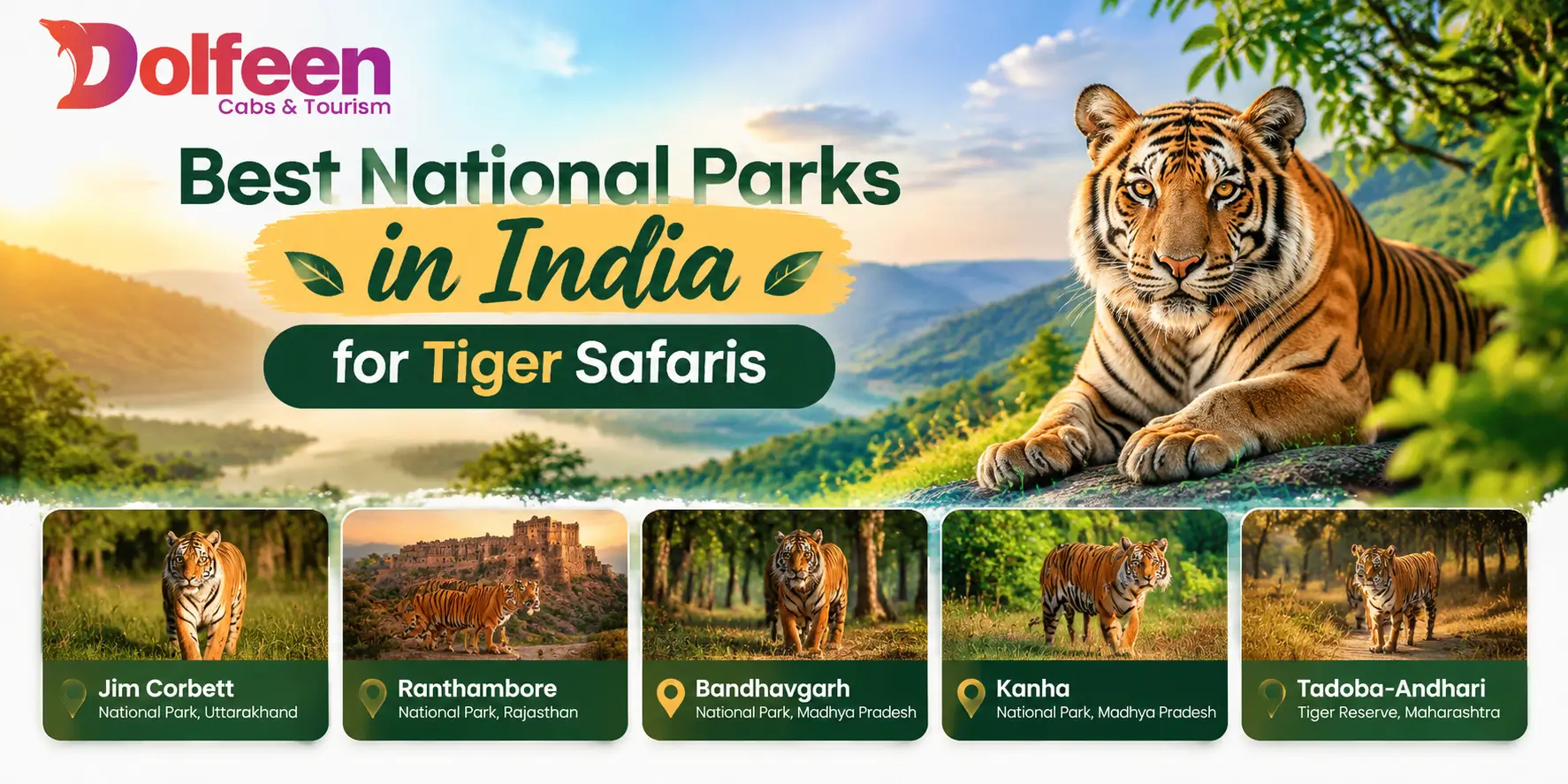 Best National Parks in India for Tiger Safaris