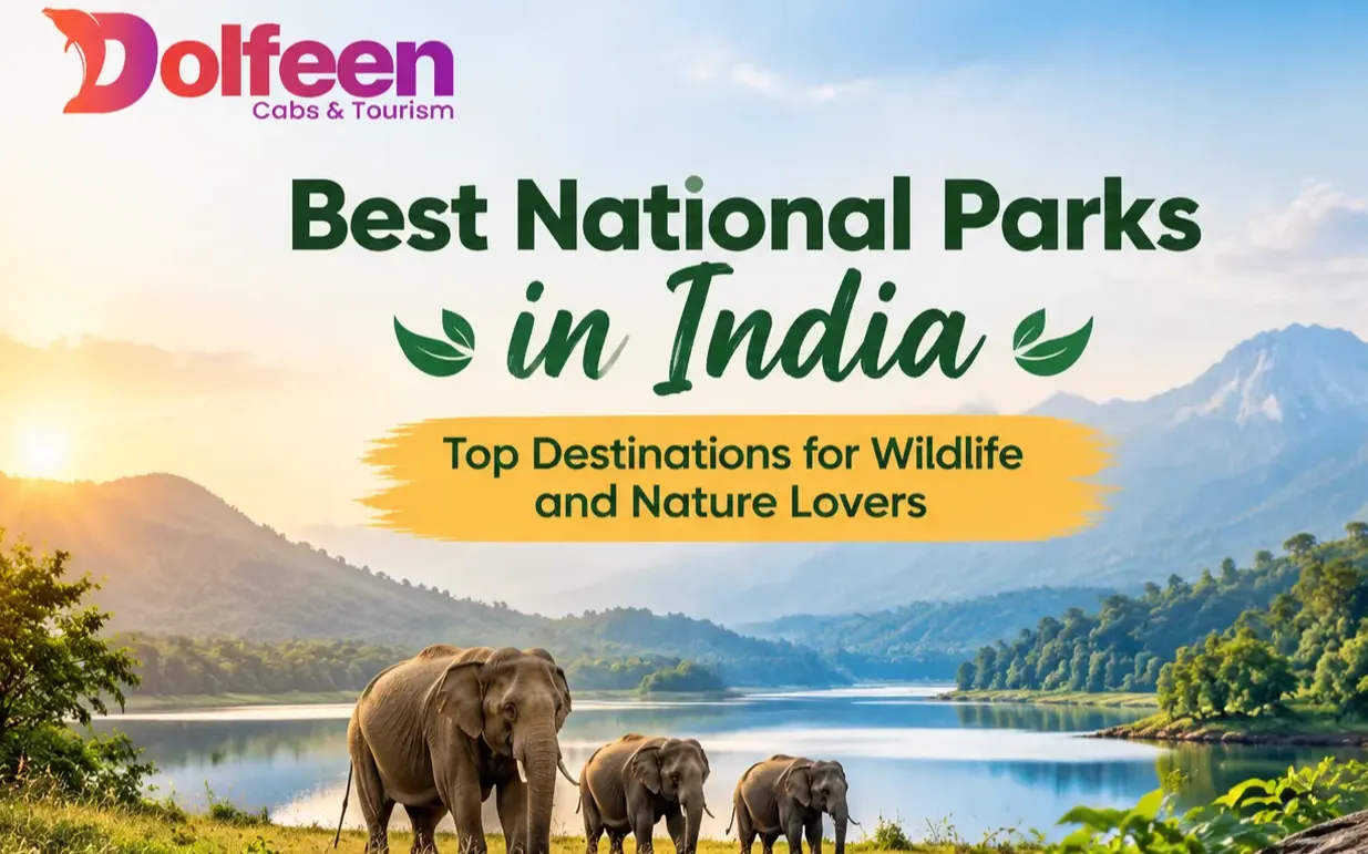 Best National Parks in India: Top Destinations for Wildlife and Nature Lovers