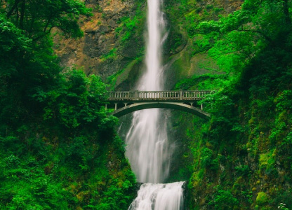 Misty Waterfall Trek – Kerala